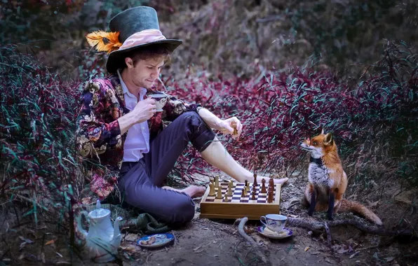 Picture nature, hat, chess, Fox, the tea party, guy