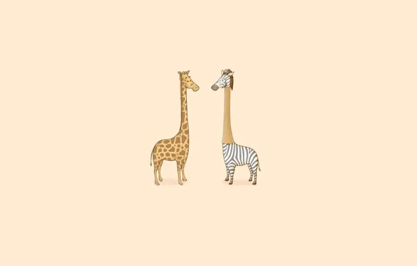 Picture Minimalism, Humor, Giraffe, Zebra, Art