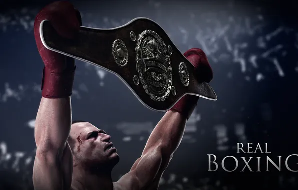 Victory, blood, iPhone, Boxing, belt, Android, iPad, muscles