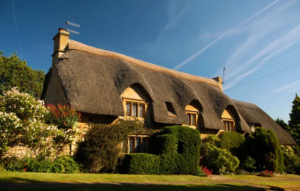 Picture design, house, lawn, the fence, track, UK, the bushes