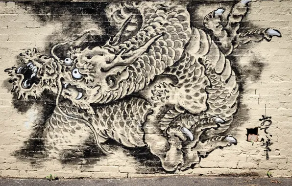 Wall, graffiti, dragon, Graffiti