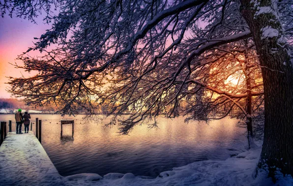 Picture the sun, snow, tree, treatment, Switzerland, Lake Katzensee