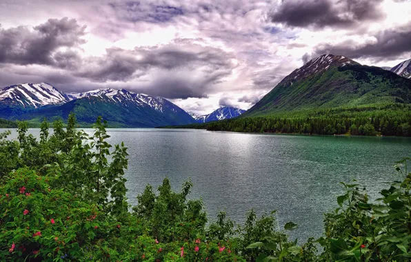 Picture the sky, clouds, trees, flowers, mountains, lake, the bushes