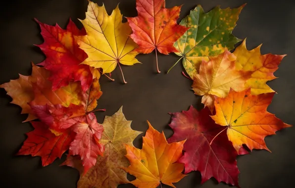 Autumn, leaves, background, colorful, autumn, leaves