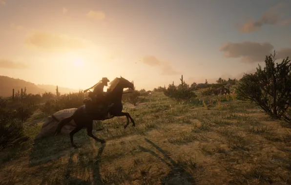 Sunset, Cowboy, Red Dead Redemption 2, rdr2, Western