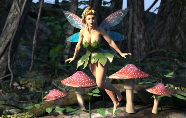 Picture forest, chest, look, girl, trees, wings, fairy, blonde