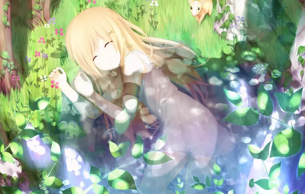 Picture forest, grass, girl, flowers, nature, animals, animal, anime