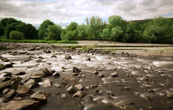 Landscape, nature, river, stones
