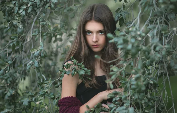 Picture nature, portrait, girl