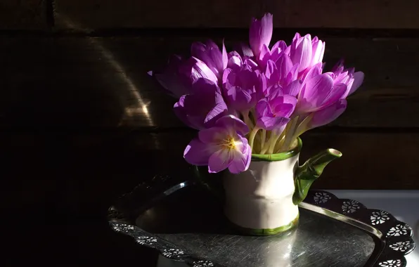 Picture bouquet, Krokus, tray, saffron