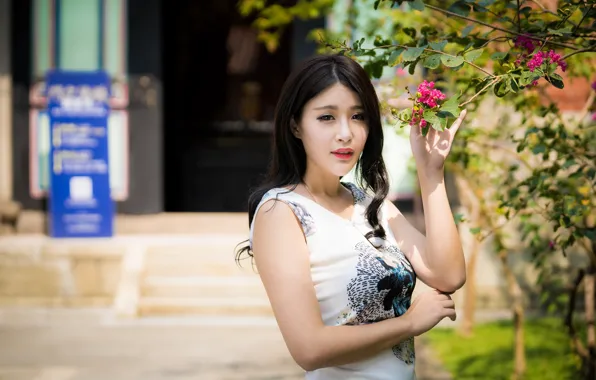 Leaves, branches, dress, brunette, Asian