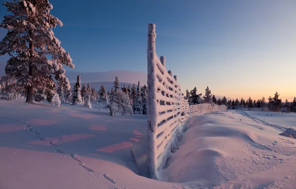 Picture Nature, Winter, The fence, Snow