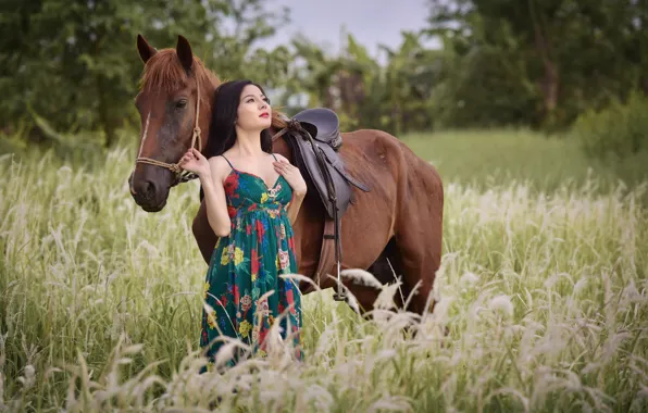 Picture field, summer, face, horse, horse, Asian