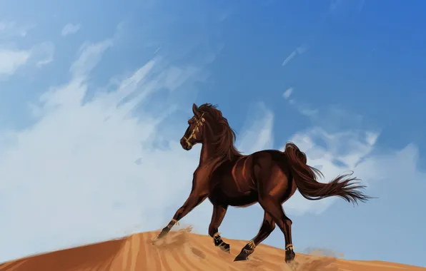 Sand, horse, desert, horse, Mustang, art, running, dune