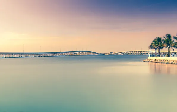 Picture sea, surface, palm trees, bridges