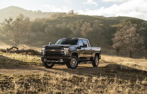 Picture hills, Chevrolet, pickup, Silverado, High Country, 2020, 2500 Heavy Duty