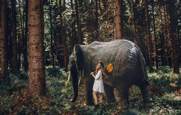 Picture forest, girl, elephant