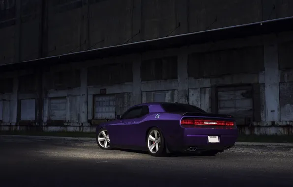 Picture Muscle, Dodge, SRT8, Challenger, Car, Purple, Rear