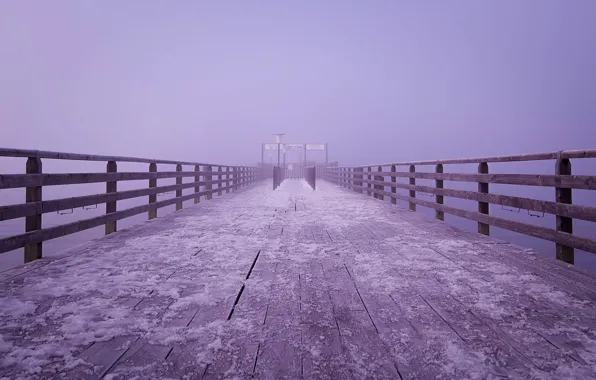 Picture winter, snow, fog, lake, background, lilac, plate, Germany