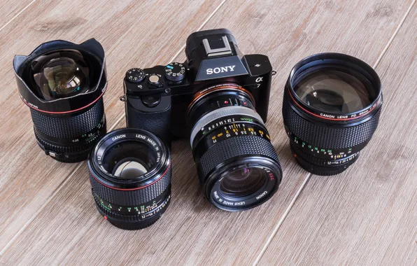 Macro, background, camera