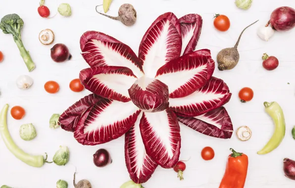 Flower, leaves, background, vegetables, flower, cabbage, background, leaves