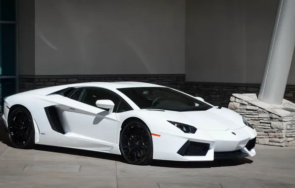 Picture Lamborghini, white, LP700-4, Aventador