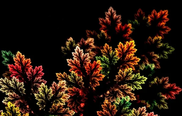Autumn, leaves, nature, abstraction, rendering, fractal, black background, picture