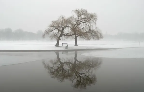 Picture winter, landscape, fog, Park