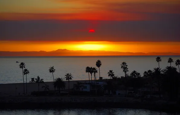 Sea, the sky, the sun, sunset, clouds, palm trees, glow