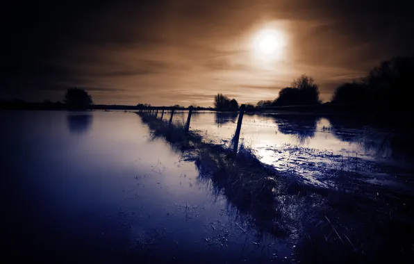 Field, night, the fence