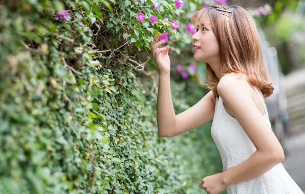 Picture girl, flowers, dress, Asian, shrub