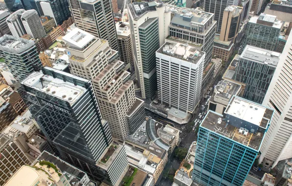 The city, building, roof, skyscrapers, the view from the top, Fleur Walton