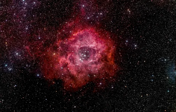 Space, stars, space, beauty, Rosette Nebula