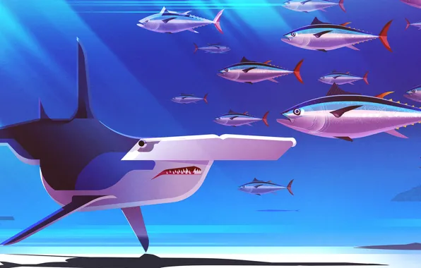 Fish, Minimalism, Fish, Style, Shark, Fish, Shark, Animals