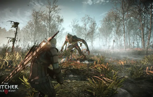 The, Witcher, Hunt, 3: Wild