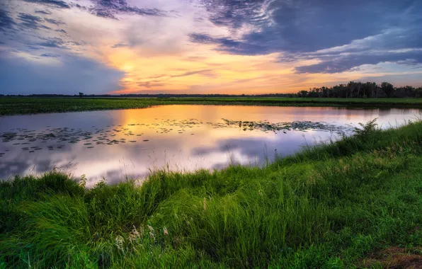 The sky, grass, clouds, shore, pond