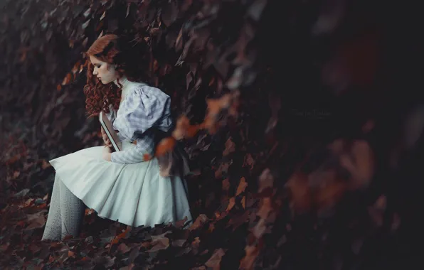Picture autumn, girl, pose, mood, dress, book, red, redhead