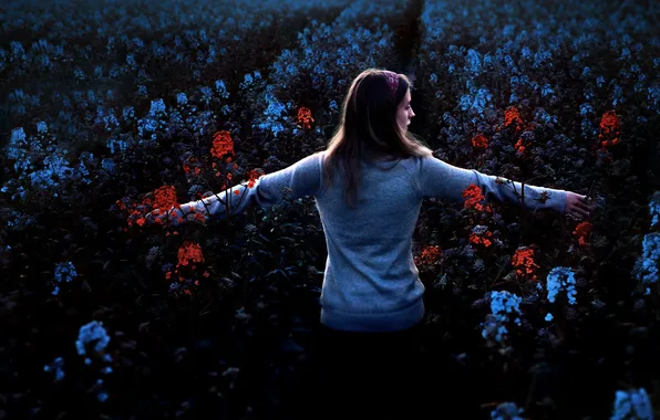 Picture field, girl, nature