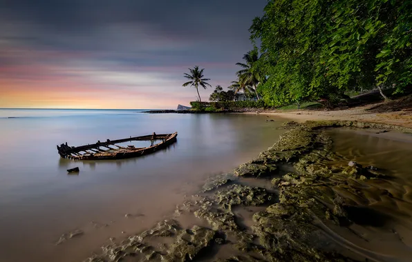 Sand, sea, beach, trees, Palma, rocks, shore, boat