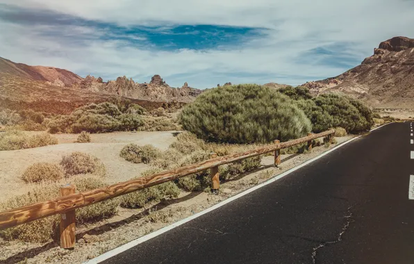 Road, mountains, desert, shrubs