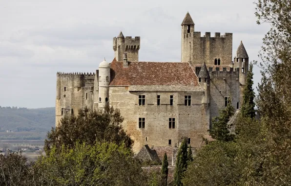 Picture the sky, trees, France, medieval architecture, Benac Castle