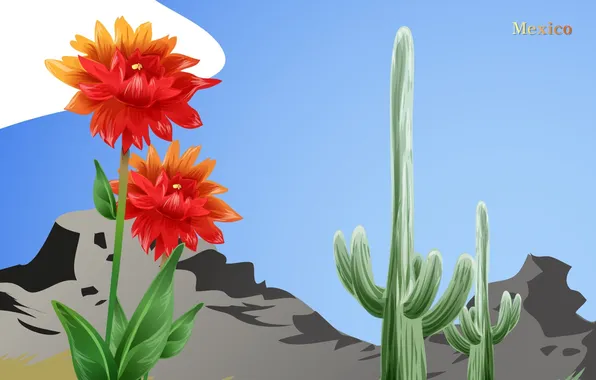 Flower, mountains, cactus, Mexico, Mexico