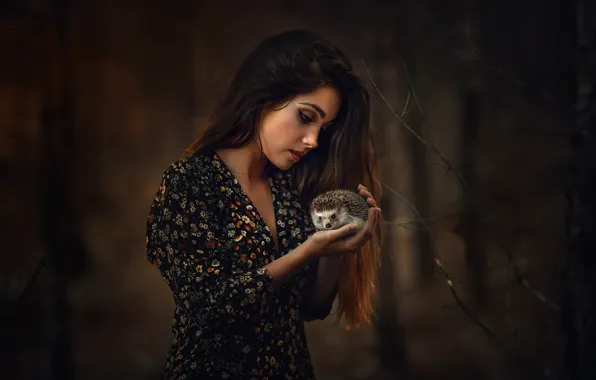 Picture girl, nature, hedgehog