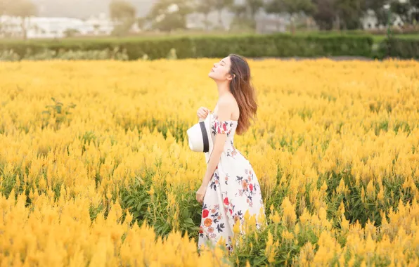 Field, girl, flowers, yellow, nature, dress, hat, walk