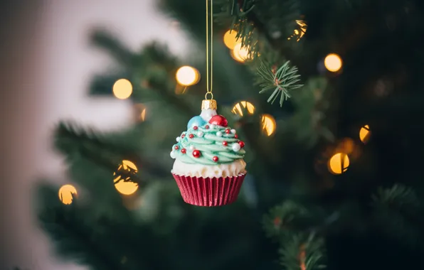 Branches, lights, holiday, toy, Christmas, New year, cake, needles