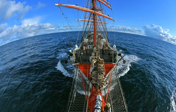 The ocean, bark, Sedov