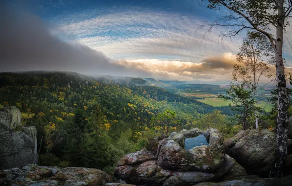 Forest, the sky, landscape, nature, beauty, cloud