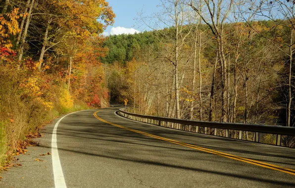 Road, autumn, landscape