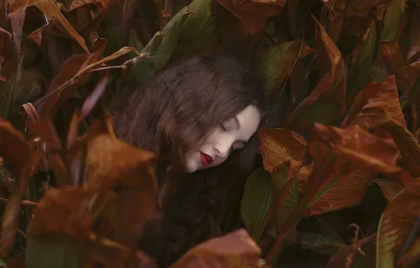Picture face, foliage, hair, lipstick
