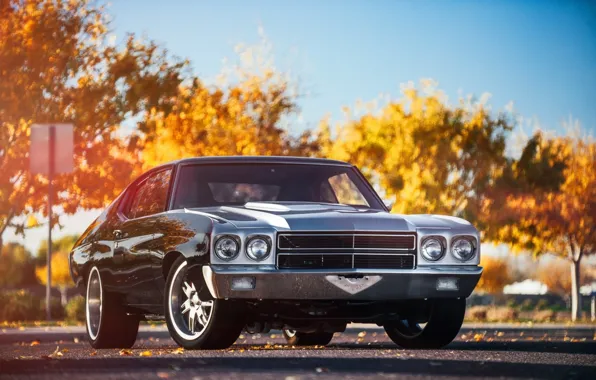 Picture Chevrolet, coupe, chevelle